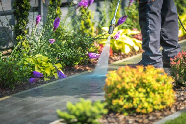 Best Dumpster Area Cleaning  in Frankfort, KY